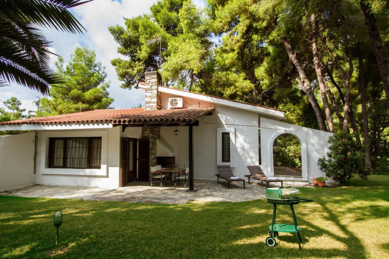 Muses Villas Resort 撒尼海滩 外观 照片