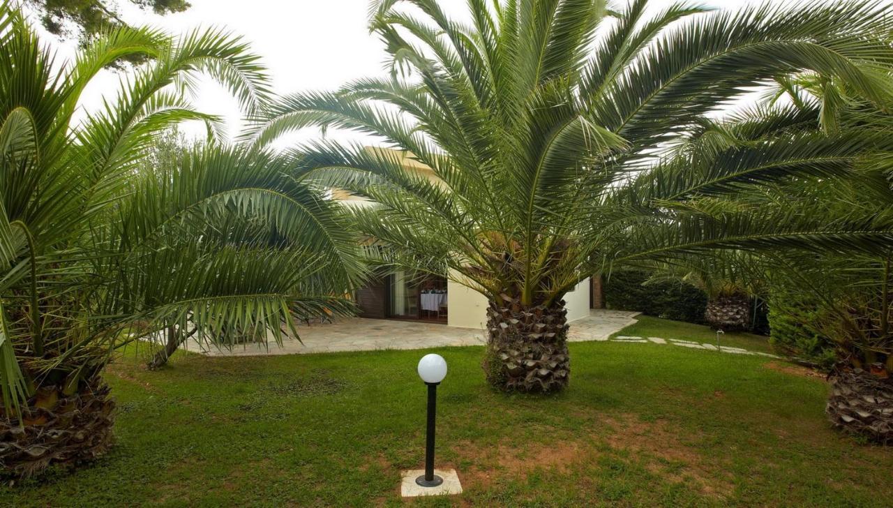 Muses Villas Resort 撒尼海滩 外观 照片